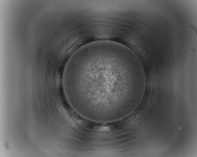 X0000099530647200805231103