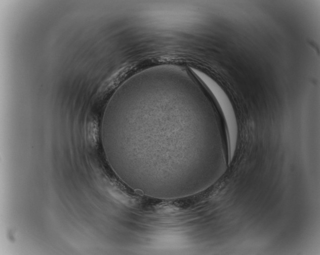 X0000099530648200805231103