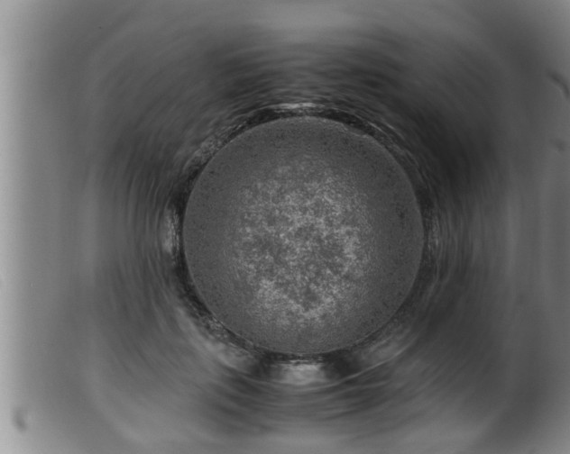 X0000099530651200805231103