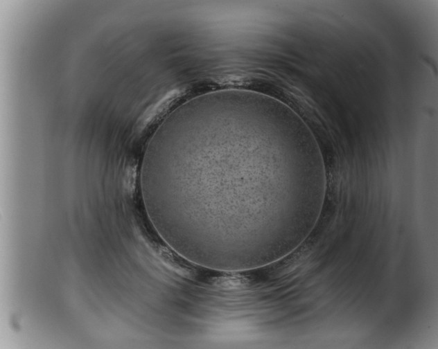 X0000099530652200805231103