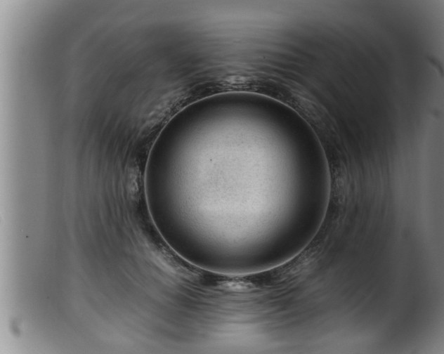 X0000099530654200805231103