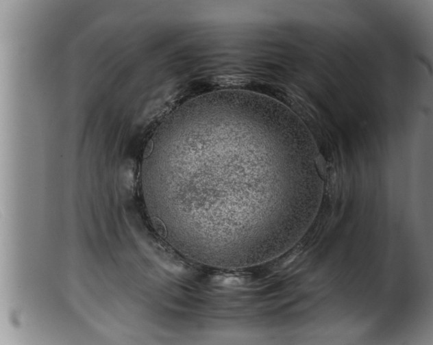 X0000099530655200805231103