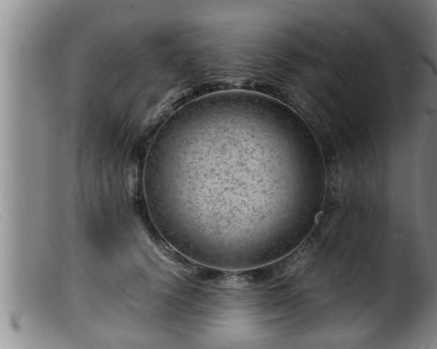 X0000099530656200805231103