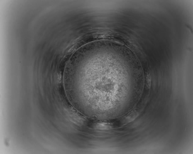 X0000099530657200805231103