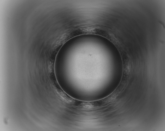 X0000099530658200805231103