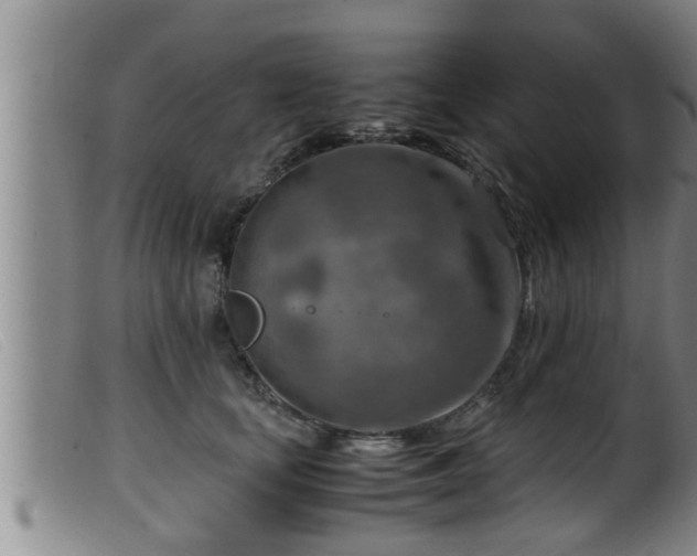 X0000099530659200805231103