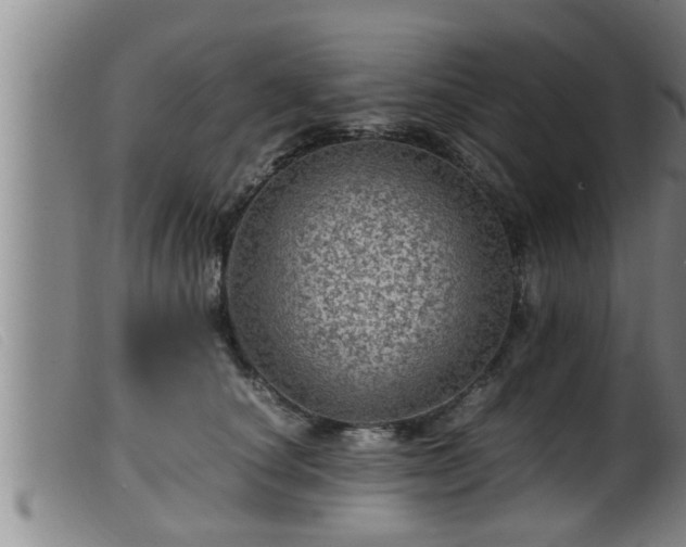 X0000099530660200805231103