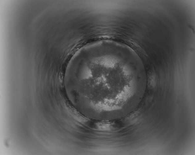 X0000099530661200805231103