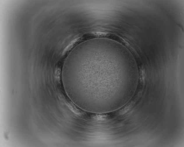 X0000099530664200805231103