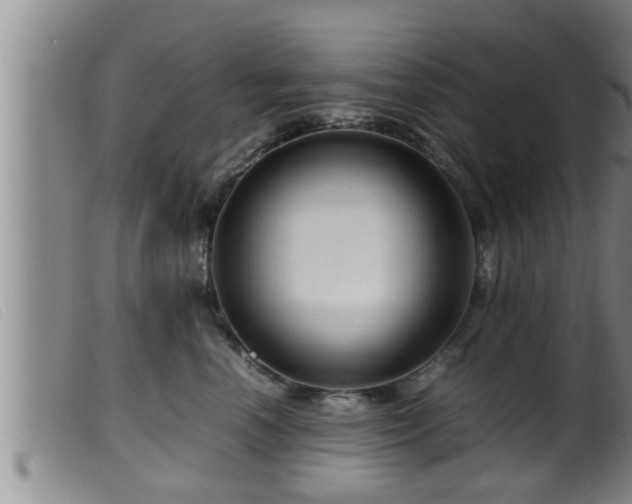 X0000099530666200805231103