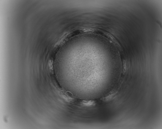 X0000099530667200805231103