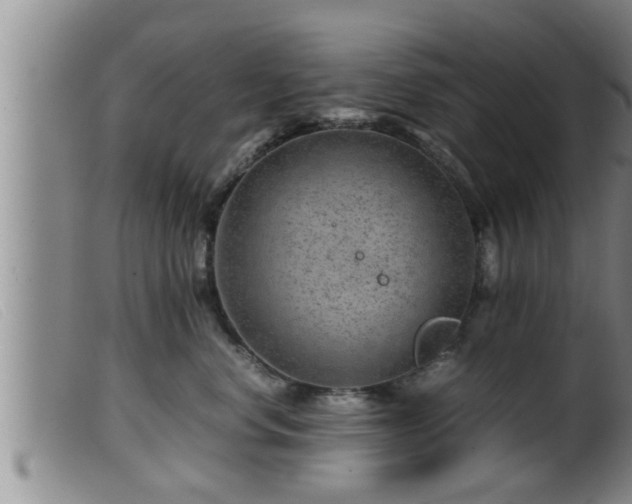 X0000099530668200805231103