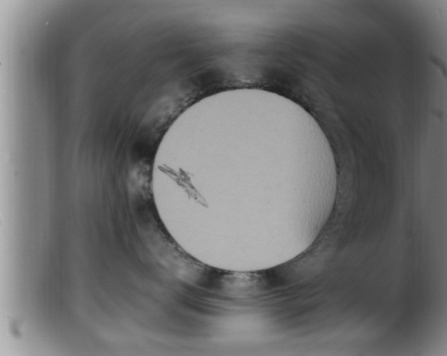 X0000099530672200805231103