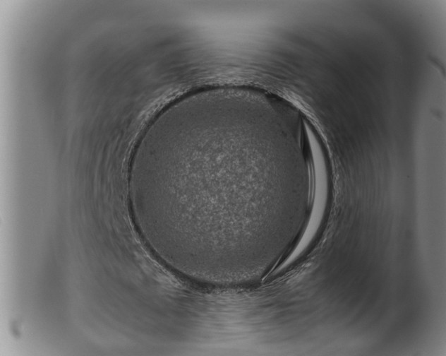 X0000099530673200805231103