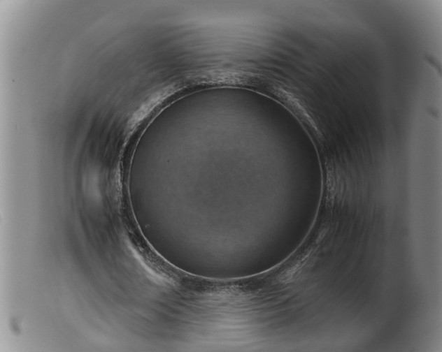 X0000099530674200805231103