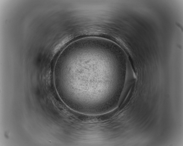 X0000099530675200805231103