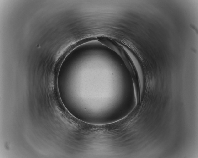 X0000099530676200805231103