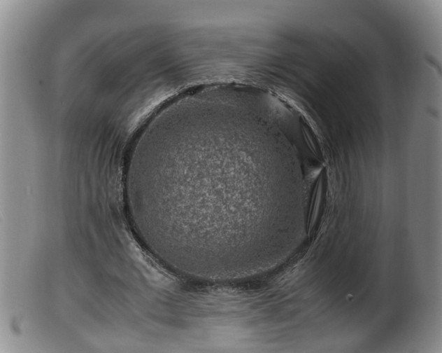 X0000099530677200805231103