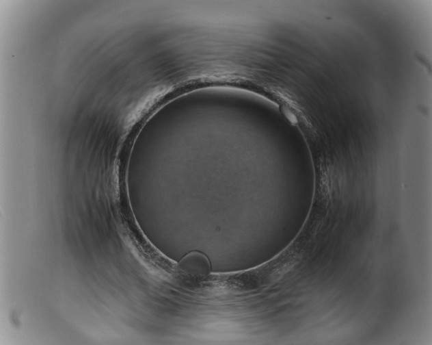 X0000099530678200805231103