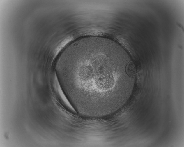 X0000099530679200805231103