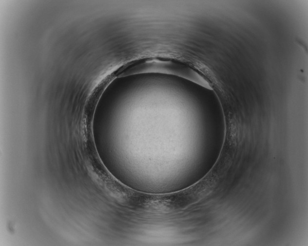 X0000099530680200805231103