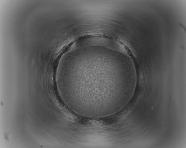 X0000099530681200805231102