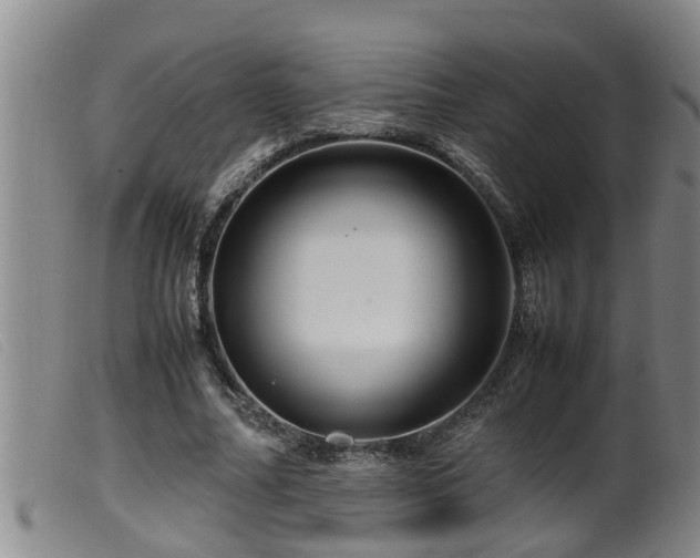 X0000099530682200805231102