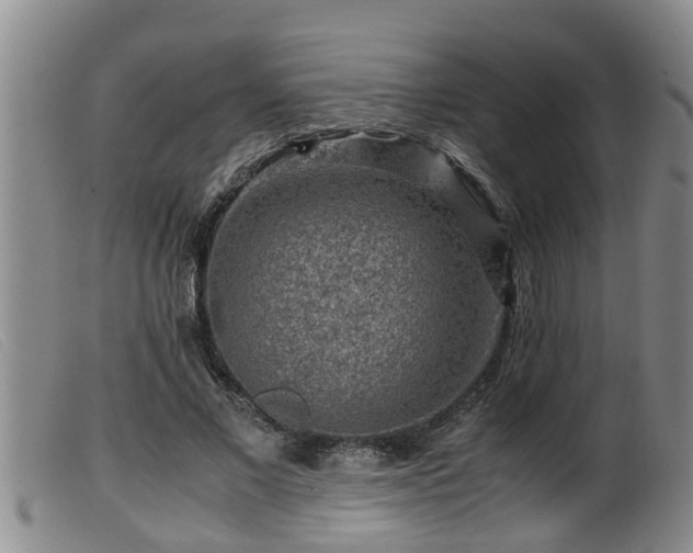 X0000099530685200805231102