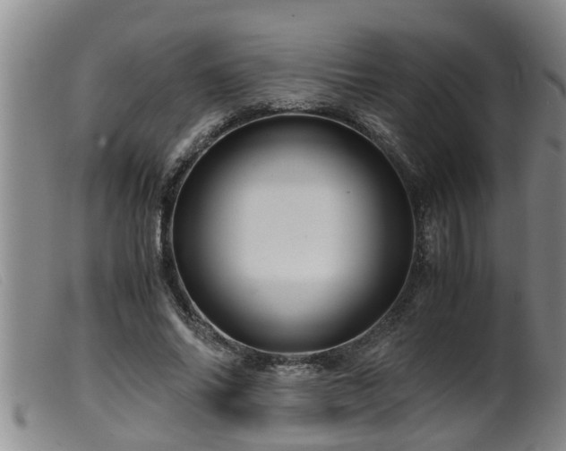 X0000099530686200805231102