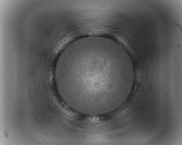 X0000099530687200805231102