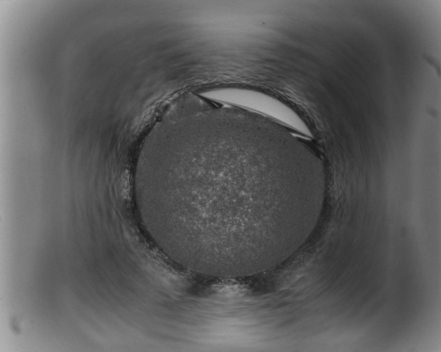 X0000099530689200805231102