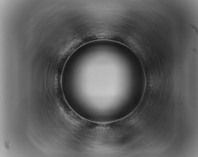 X0000099530690200805231102