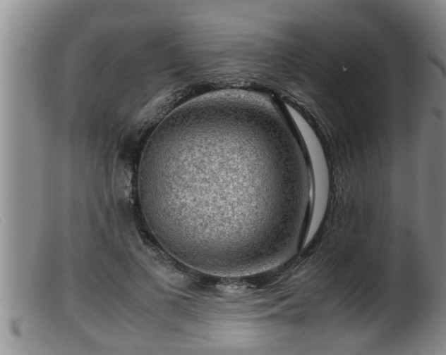 X0000099530693200805231102