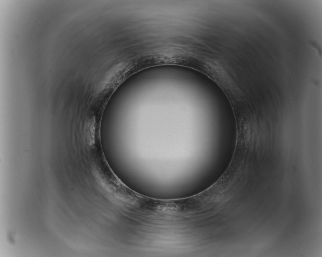 X0000099530694200805231102