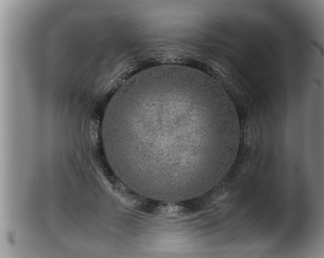 X0000099530695200805231102