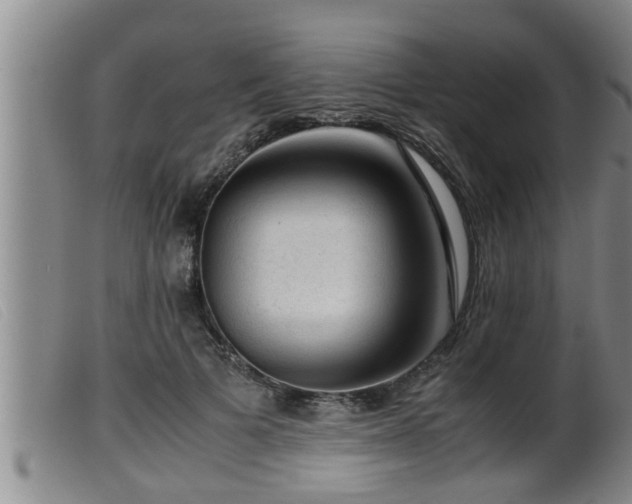 X0000099530697200805231102