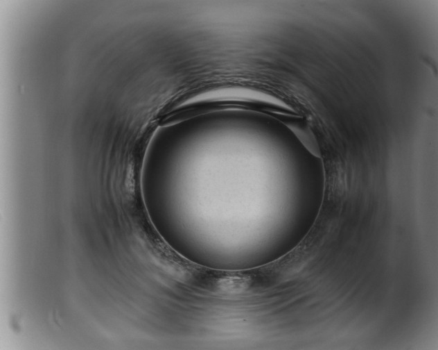 X0000099530700200805231102