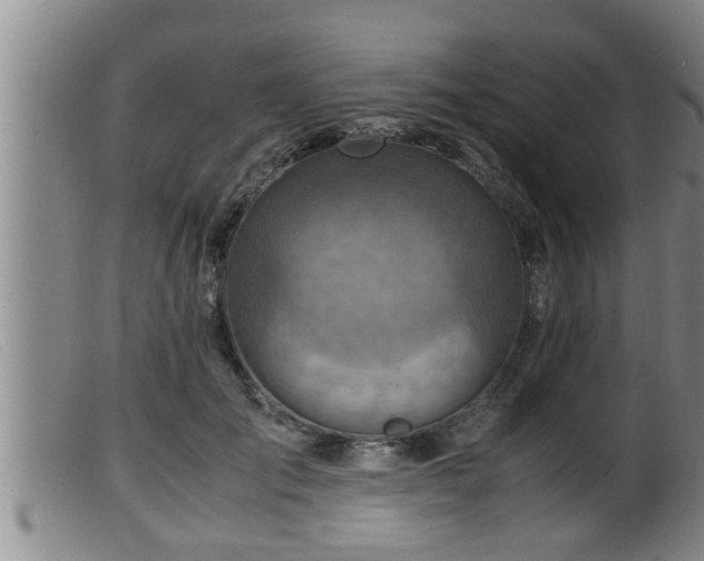 X0000099530701200805231102