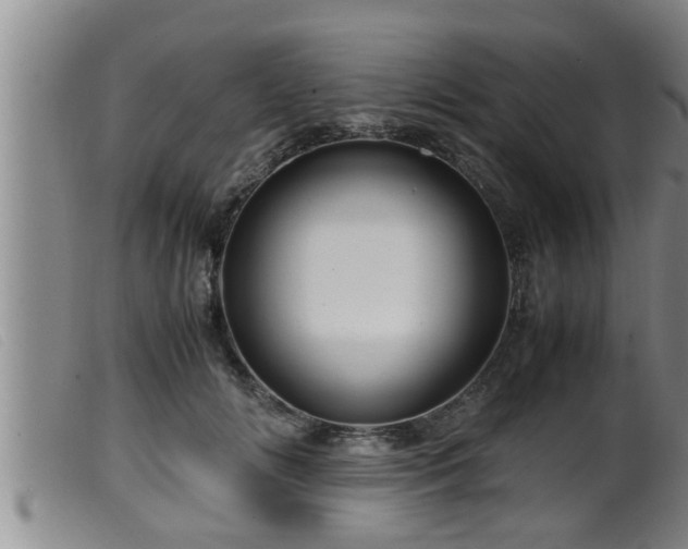 X0000099530702200805231102