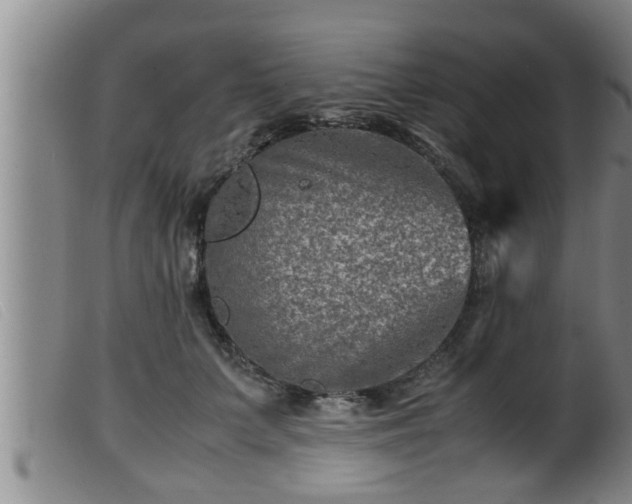 X0000099530703200805231102