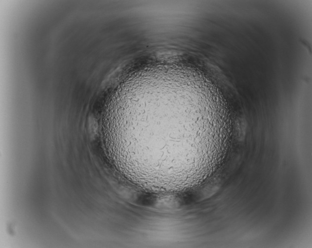 X0000099530705200805231102