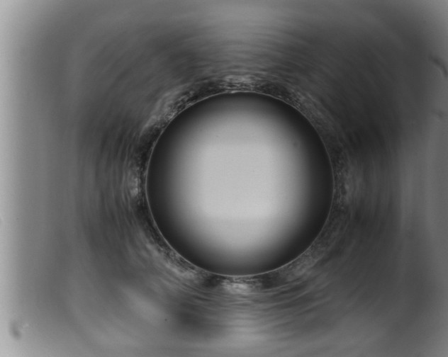 X0000099530706200805231102