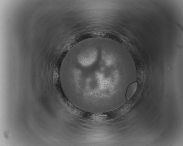 X0000099530707200805231102