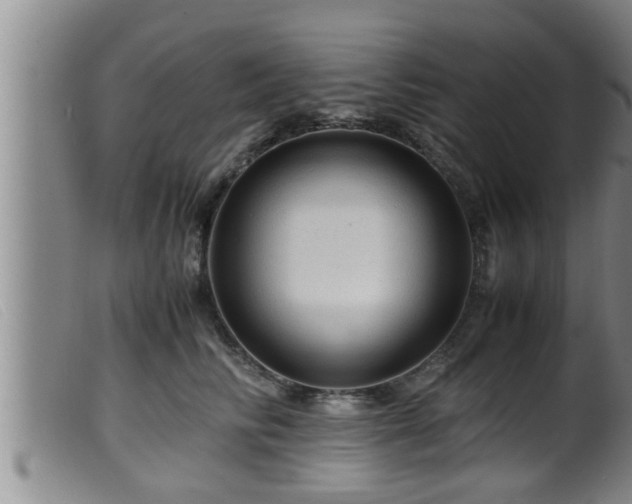 X0000099530710200805231102