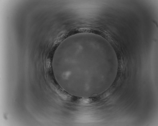 X0000099530711200805231102