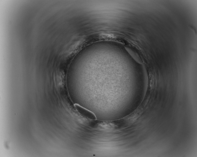 X0000099530712200805231102