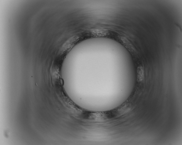 X0000099530713200805231102