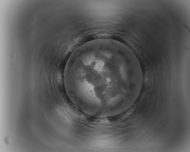 X0000099530715200805231102