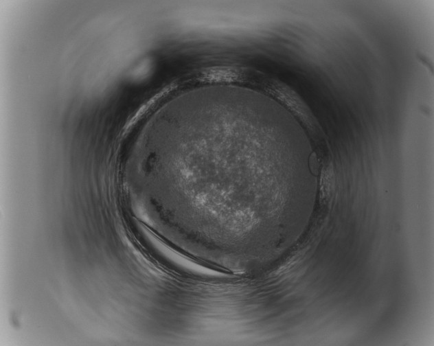 X0000099530722200805231101