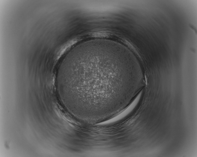 X0000099530723200805231101
